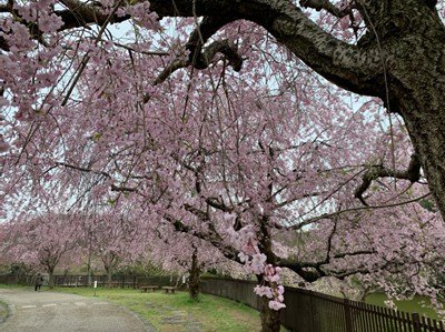 旭公園